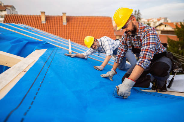 Professional Roofing in Wasilla, AK